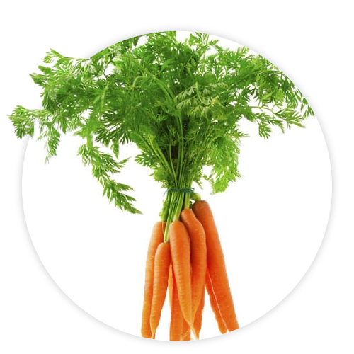 Simply-Local_Carrots-Bunched