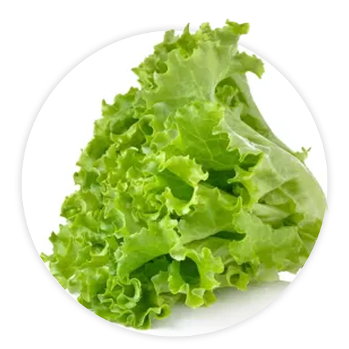 Simply-Local_G.Leaf-Lettuce