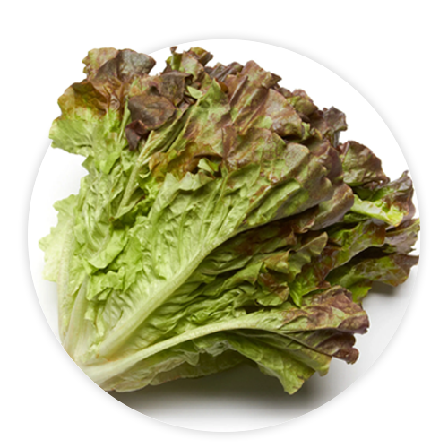 Simply-Local_R.Leaf-Lettuce