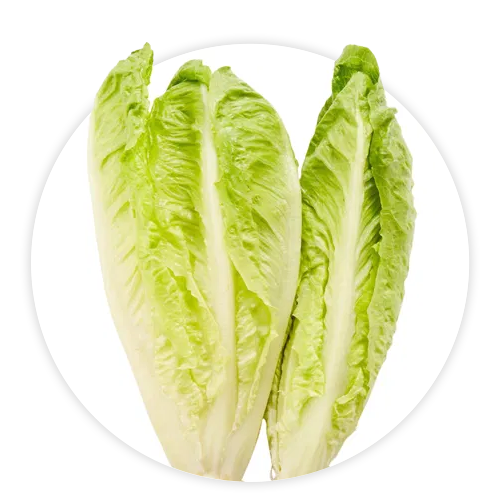 Simply-Local_Romaine-Hearts