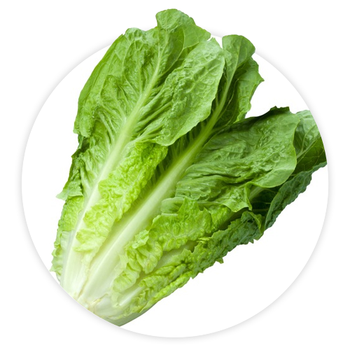 Simply-Local_Romaine