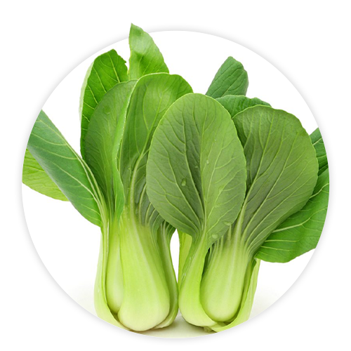 Simply-Local_Shanghai-Bok-Choy