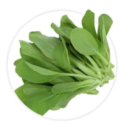 Simply-Local_Shanghai-Mue